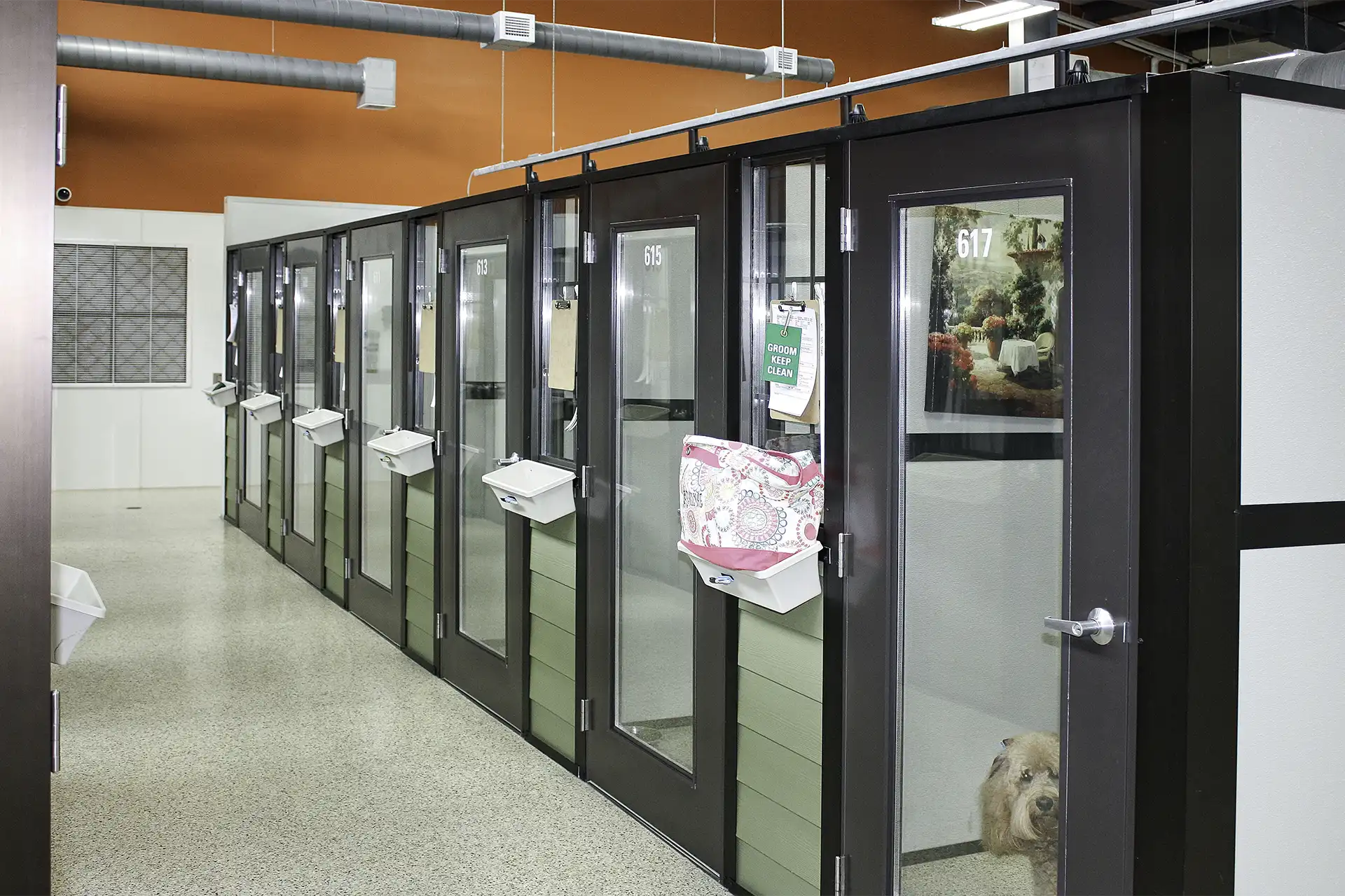 Whiskers Resort & Pet Spa Canine Boarding Grand Rapids, MI